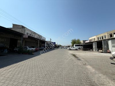 İşyeri-Dükkan & Mağaza