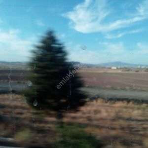 Arsa-Bağ & Bahçe