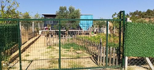Arsa-Bağ & Bahçe