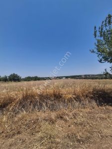 Arsa-Tarla