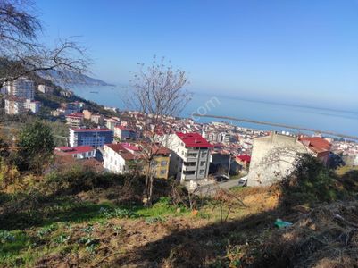 Arsa-Konut İmarlı