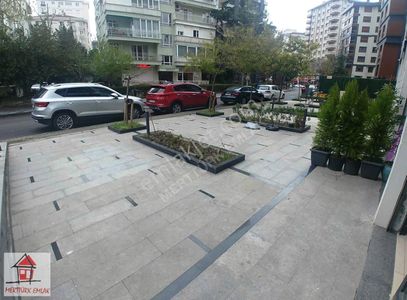 İşyeri-Dükkan & Mağaza