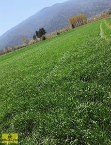 Arsa-Tarla