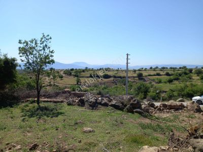 Arsa-Arazi