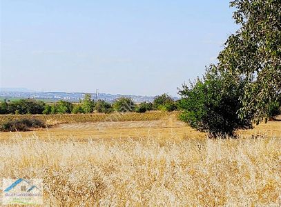 Arsa-Bağ & Bahçe