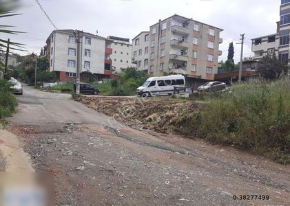 Arsa-Konut İmarlı