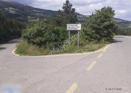 Arsa-Tarla