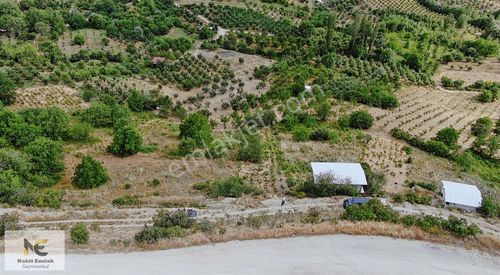 Arsa-Tarla