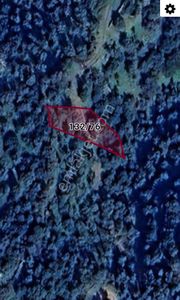 Arsa-Zeytinlik