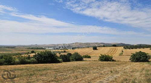 Arsa-Tarla