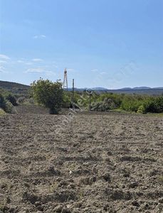 Arsa-Tarla