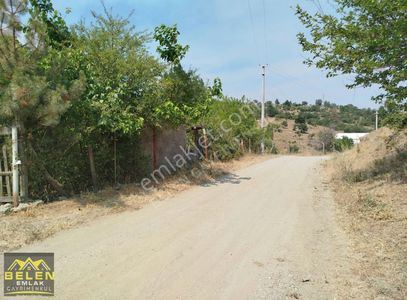 Arsa-Bağ & Bahçe