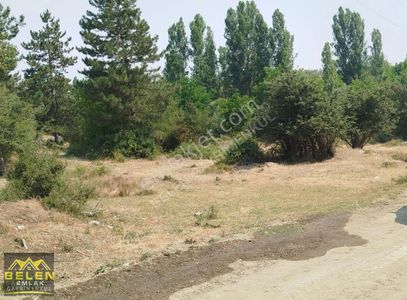 Arsa-Bağ & Bahçe