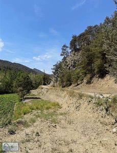 Arsa-Tarla