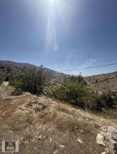 Arsa-Bağ & Bahçe