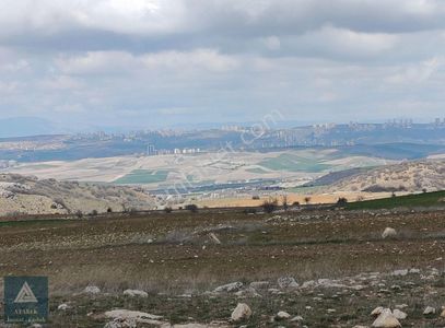Arsa-Tarla