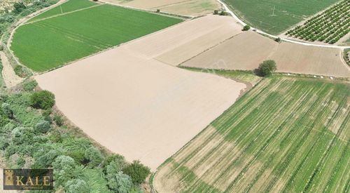 Arsa-Tarla