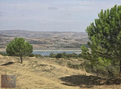 Arsa-Tarla