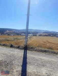 Arsa-Tarla