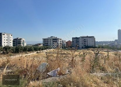 Arsa-Ticari İmarlı