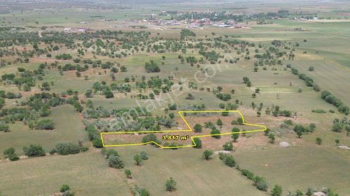 Arsa-Tarla