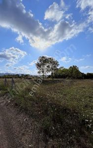 Arsa-Tarla