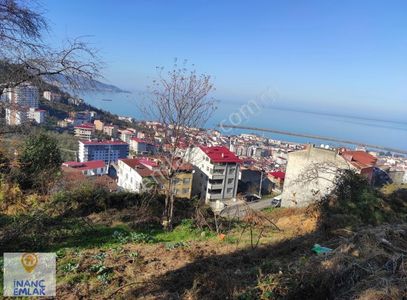 Arsa-Konut İmarlı