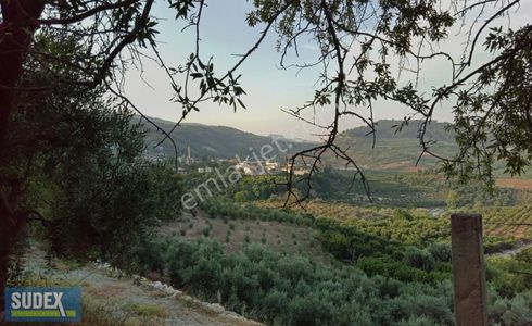 Arsa-Tarla