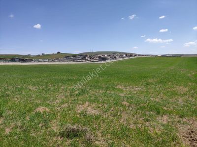 Arsa-Tarla