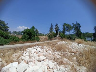 Arsa-Konut İmarlı