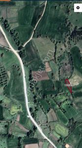 Arsa-Tarla