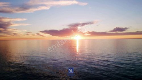 Arsa-Zeytinlik