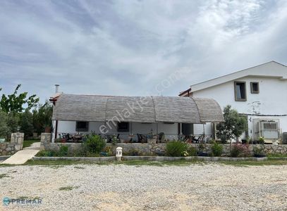 İşyeri-Kafe & Bar
