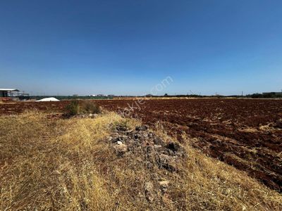 Arsa-Konut İmarlı