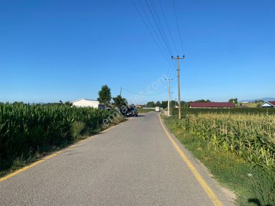 Arsa-Tarla