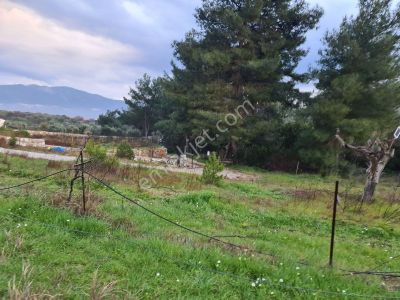 Arsa-Tarla