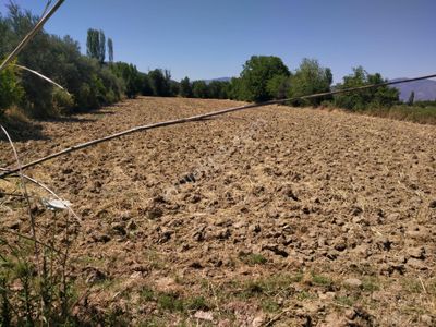 Arsa-Tarla