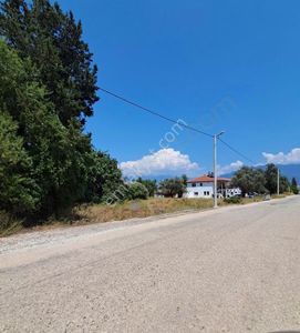 Arsa-Konut İmarlı
