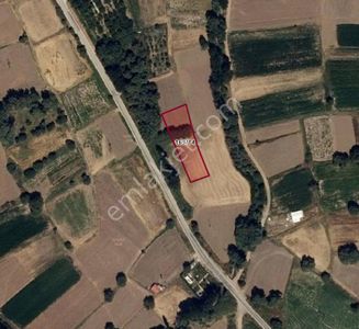Arsa-Tarla