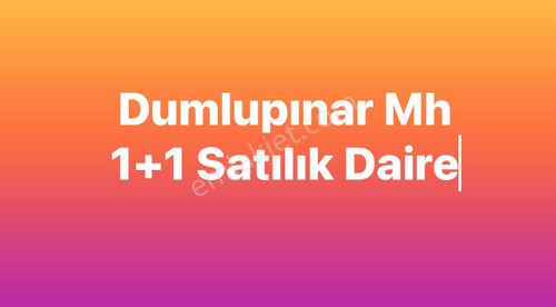 Konut-Daire