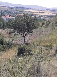Arsa-Tarla