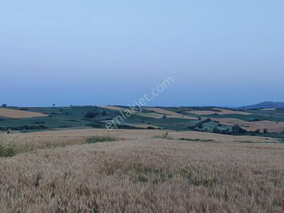 Arsa-Tarla