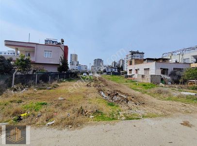 Arsa-Konut İmarlı