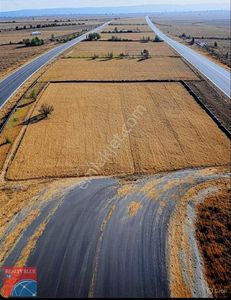 Arsa-Depo, Antrepo İzinli