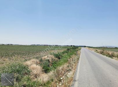 Arsa-Tarla