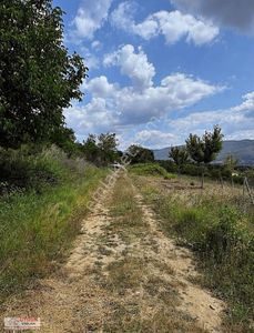 Arsa-Tarla