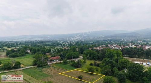 Arsa-Tarla