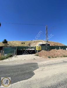 Arsa-Bağ & Bahçe