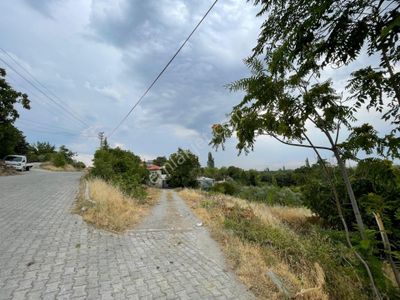 Arsa-Konut İmarlı