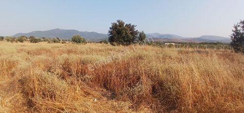 Arsa-Tarla